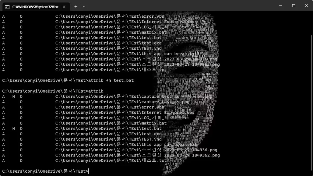 CMD 창에서 파일 숨김