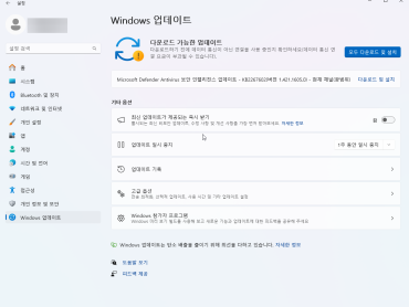 Windows 11 & 10 최신 업데이트 문제 및 해결 방법 (2025년 1월)